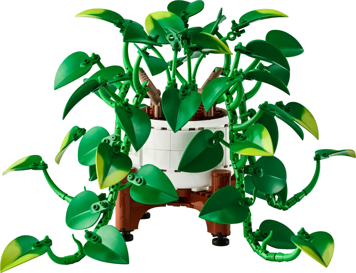 LEGO Botanicals 11512 Poto Dorado Colgante 03