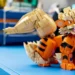 LEGO Pokemon 72160 Arcanine